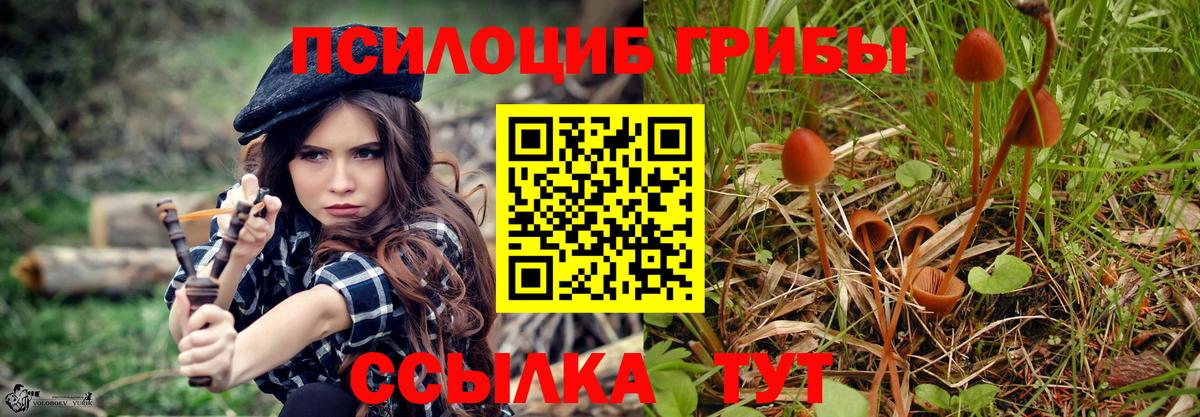 Похвистнево  Галлюциногенные грибы прущие грибы  Вход с VPN 